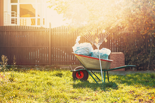 Garden rubbish in a wheelbarrow